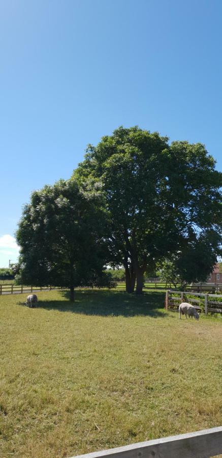 Villa The Piglets York Exterior foto